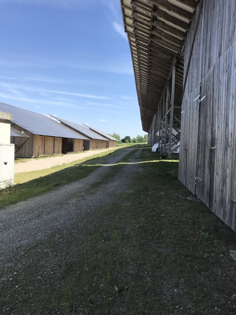 Carports in Liggersdorf